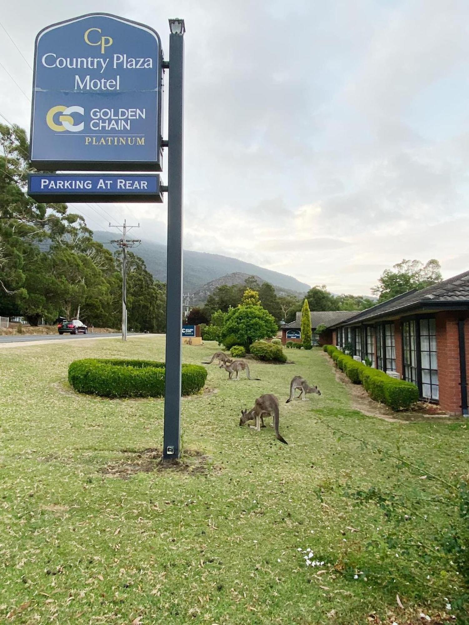 Golden Chain Country Plaza Motel Halls Gap Zewnętrze zdjęcie